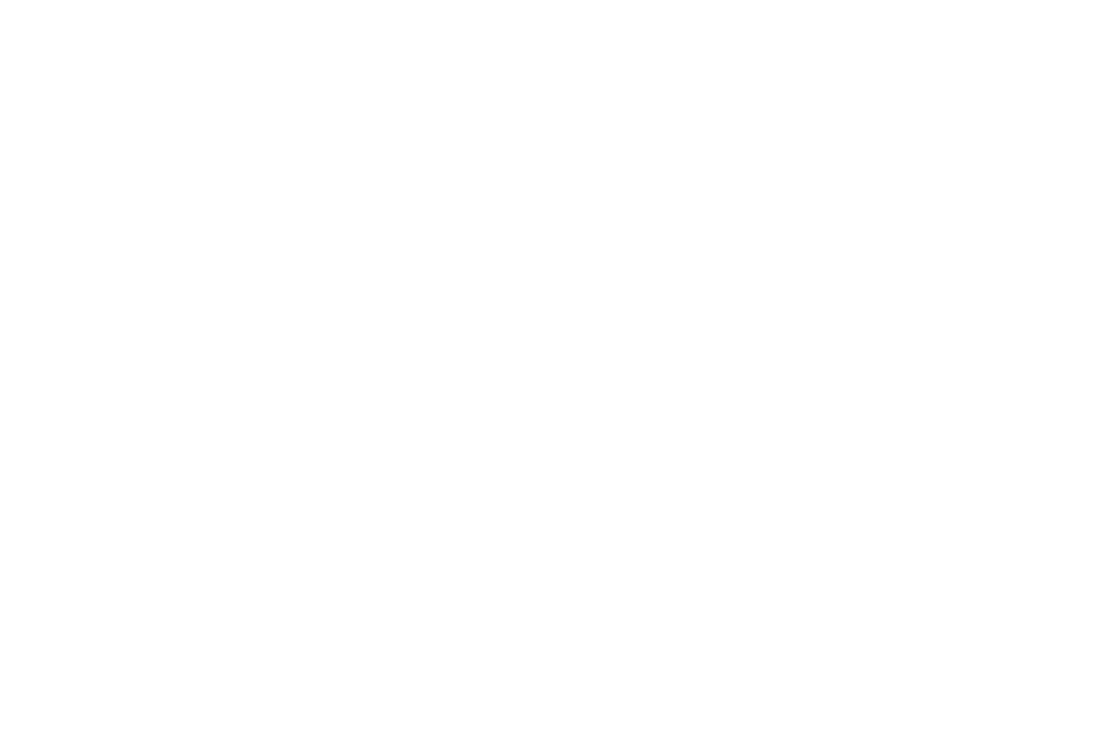 Winner American Filmatic Arts Awards logo