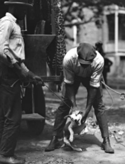 Archival black and white historical photograph of soldiers with a small dog.